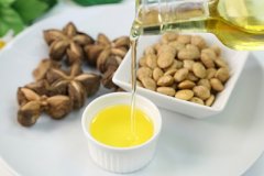 全球減少煤石油依賴大勢所趨生物燃料生產獲支