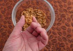  油酸甲酯制備洗滌劑