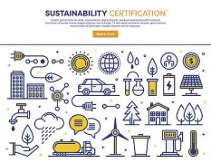  油酸甲酯對(duì)照品